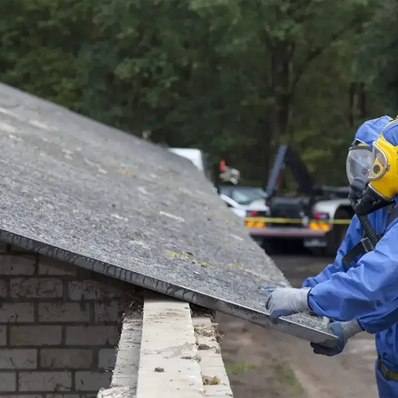 blue ppe two workers being safe whilst looking at asbestos roof
