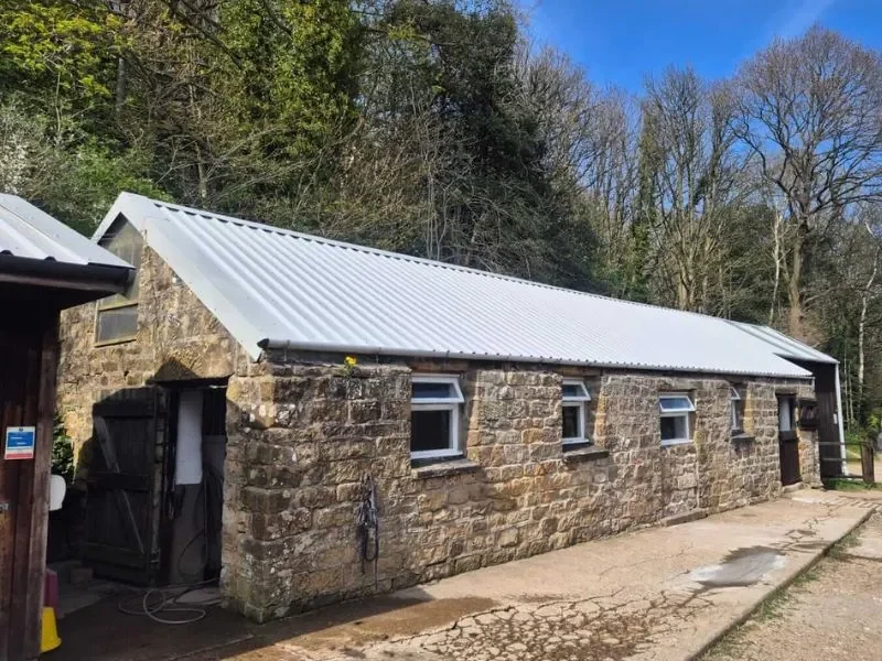 school stable after