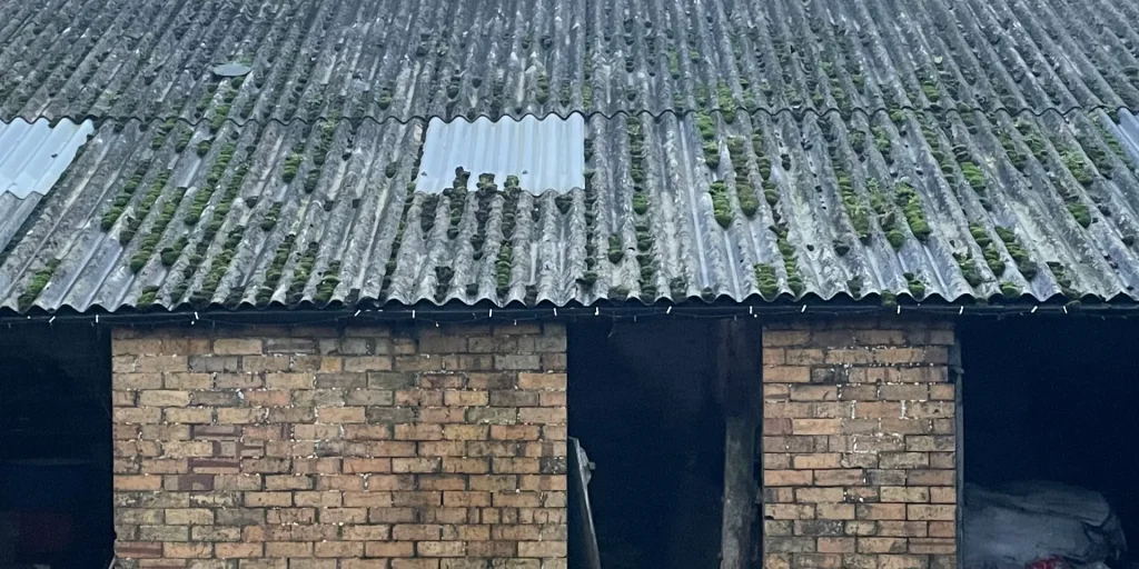 A close up shot of an ageing asbestos roof on a farm building in North Yorkshire
