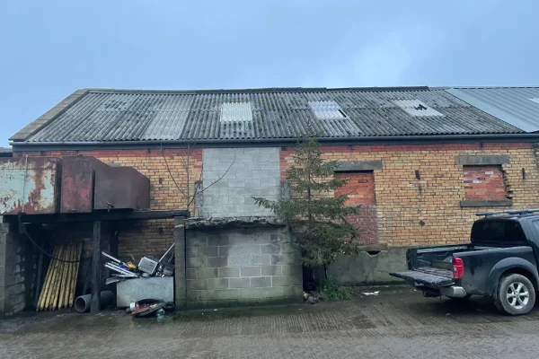 A calving farm shed with a corrugated asbestos roof